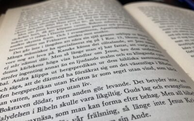 DEN DAGLIGA LÄSNINGEN