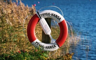 OKET SOM INTE TYNGER