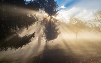 HÅLL I! HÅLL UT! HÅLL FAST!