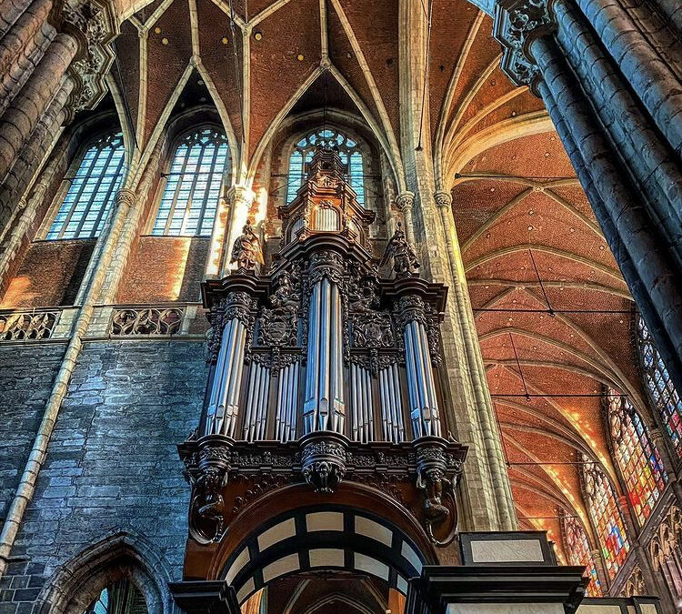 KRAVLÖS ÖPPENHET ELLER GENERÖS DELAKTIGHET?